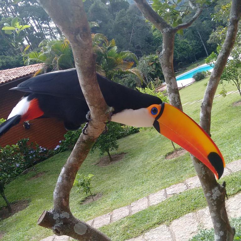 Pousada Tucano Do Cuiaba Itaipava Exterior foto